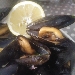 impepata di cozze - -