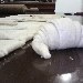 cornetto integrale - -