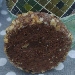 Biscotto al cacao con granella di nocciole - -