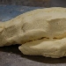 pasta cocoetto - -
