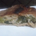 Pizza di scarola con pasta integrale - -