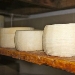 -Formaggio del Matese - -