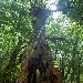  - Dal 10 luglio e ogni sabato e domenica di luglio (ore 10 e ore 17)
sulle Neviere del Monte Faito andr� in scena 