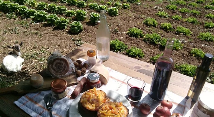 -Pausa Pranzo in Campagna