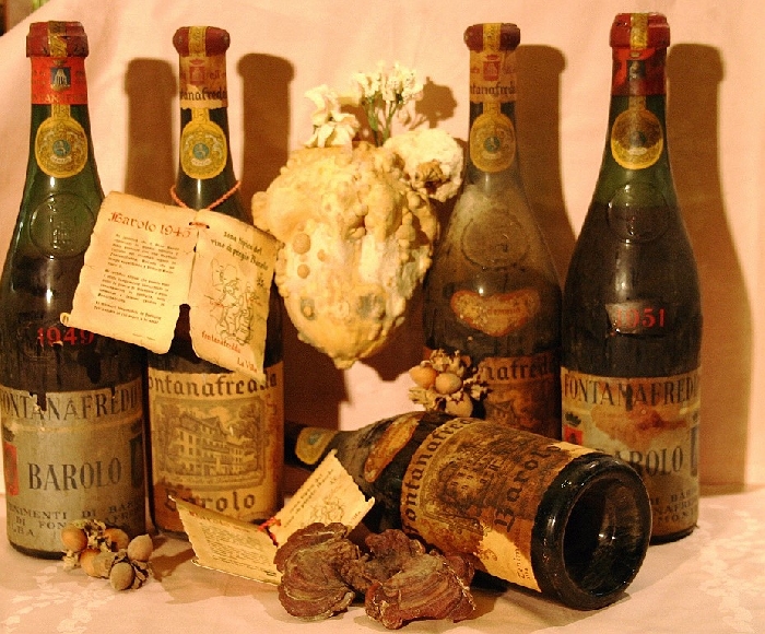 Antiche bottiglie di Barolo