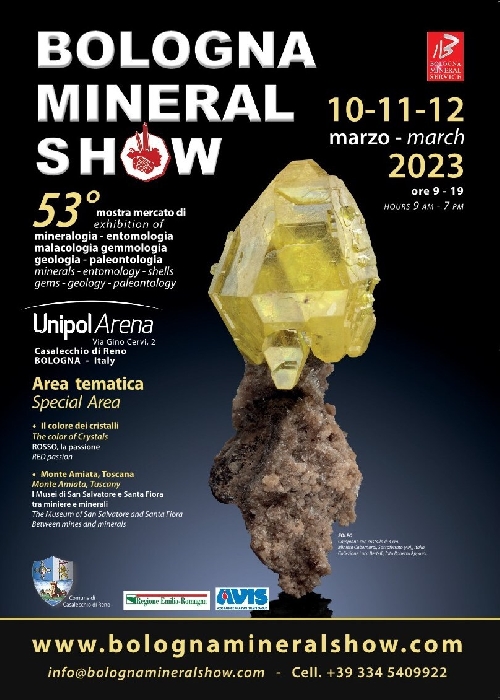 Bologna Mineral Show