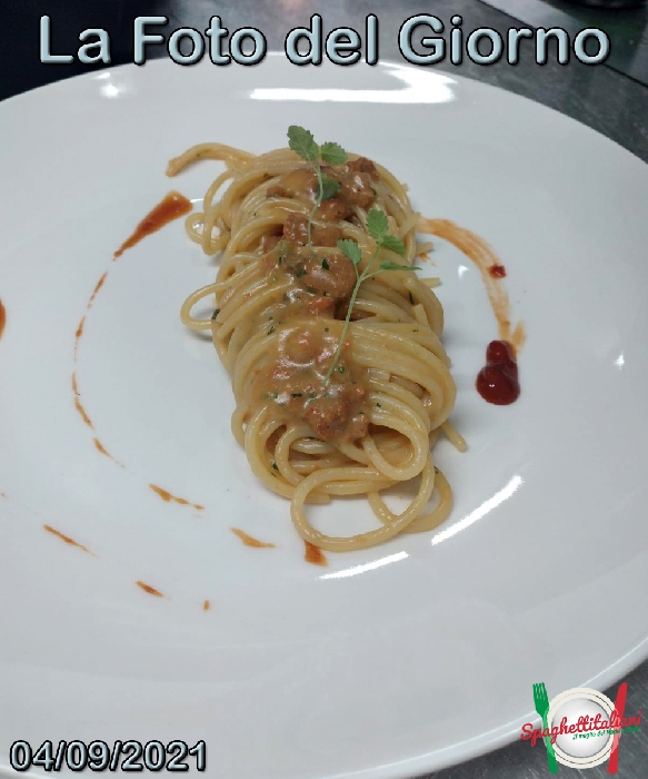 La Foto del Giorno del 4 Settembre 2021 - Spaghetti ai ricci di mare