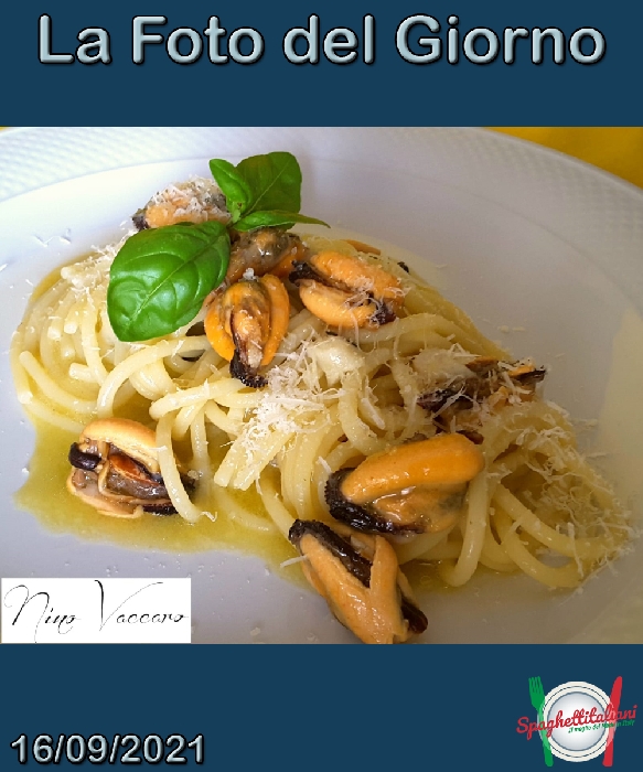 La Foto del Giorno del 16 Settembre 2021 - Spaghetti con aglio, olio e cozze