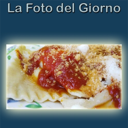 La Foto del Giorno dell'8 Gennaio 2022: Ravioli di ricotta dolci con ragù tipico e pecorino padulese inserita da Luciano Petrizzo