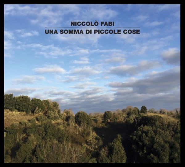 Cover del CD Una Somma di piccole cose di Niccolò Fabi
