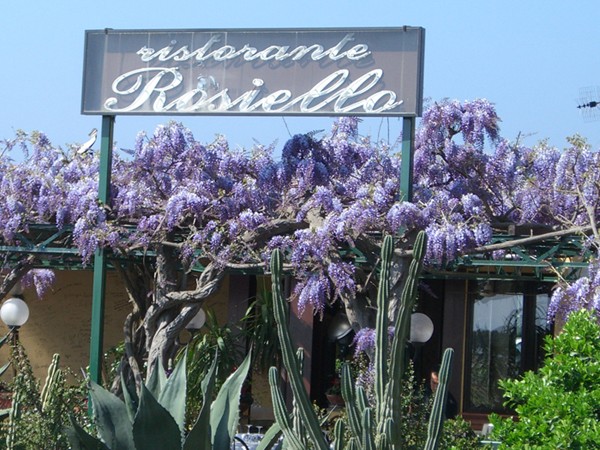 Ristorante Rosiello