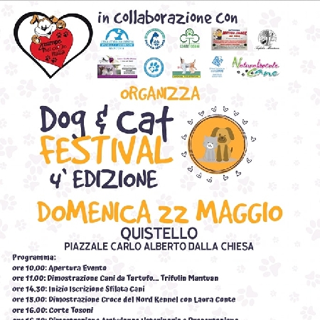 Dog and Cat Festival