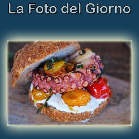 La Foto del Giorno del 21 Novembre 2021 - Fish Sandwich con polpo, burrata, pomodorini, olive taggiasche e crema al Remy Martin